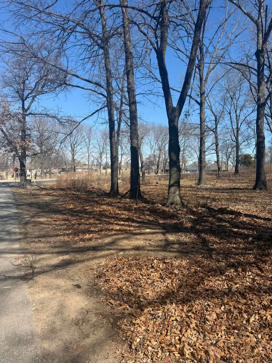 Lot 2 S 585 Trail, Grove, OK 74344 - #3