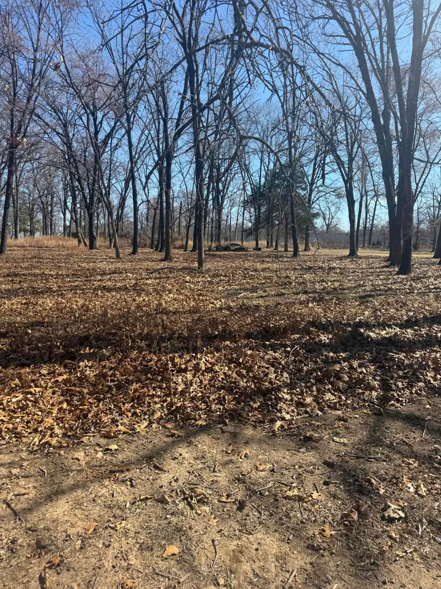 Lot 1 & 2 S 585 Trail, Grove, OK 74344 - #2