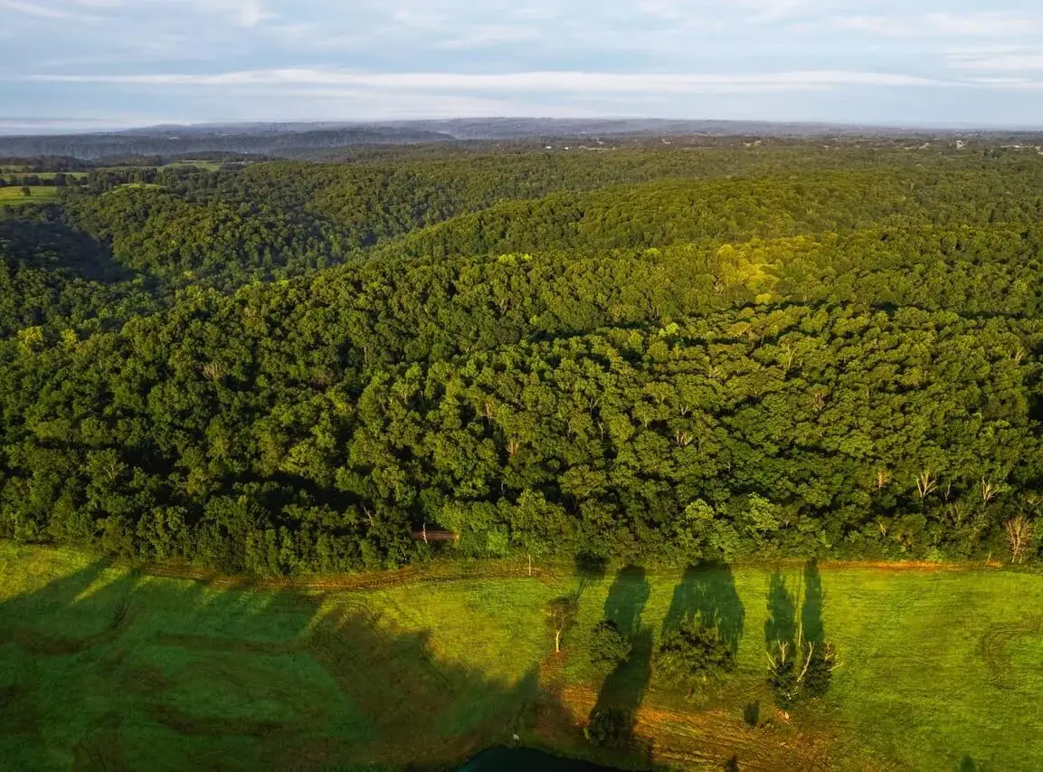 N Black Fox Hollow Road, Kansas, OK 74471 - #1