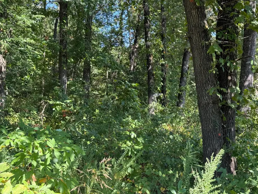 E 322 Lane, Grove, OK 74344 - #3