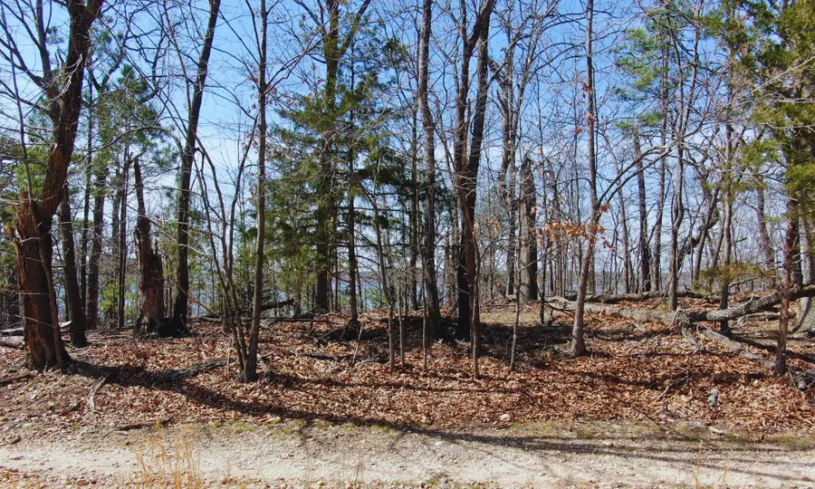 2915 County Road 356, Eucha, OK 74342 - #2