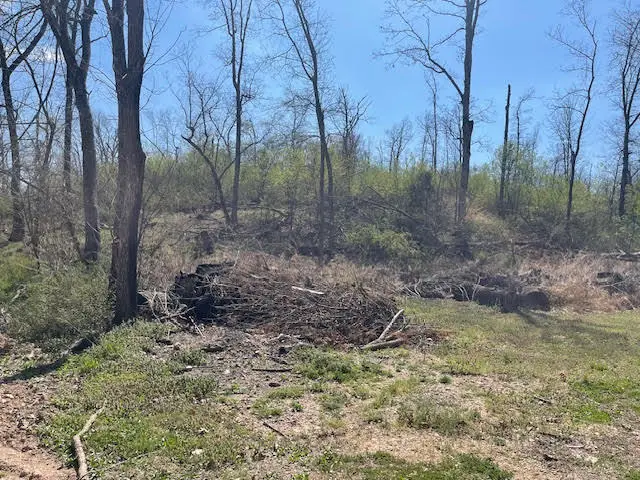 TBD S 690 Road, Wyandotte, OK 74370 - #3