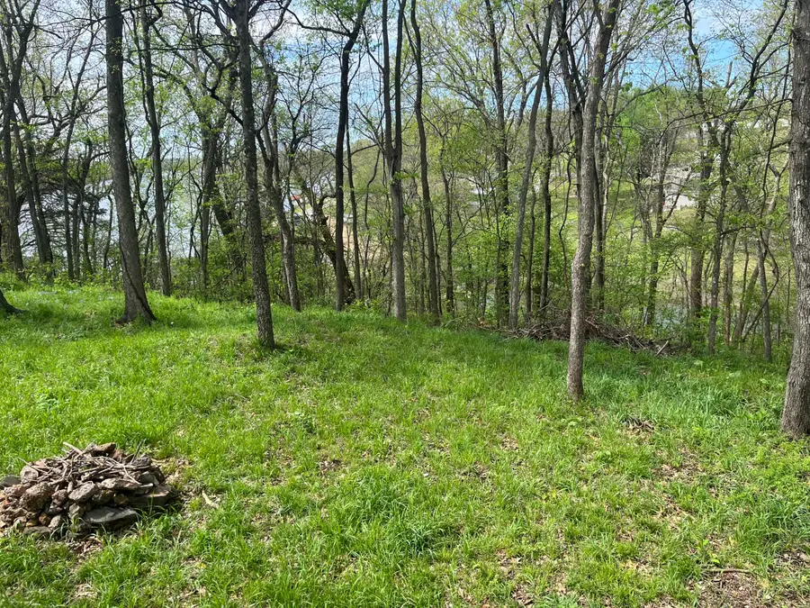 TBD Lakeside Drive, Langley, OK 74350 - #3