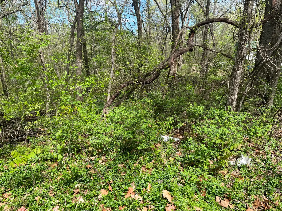 Lake Side Drive, Langley, OK 74350 - #1