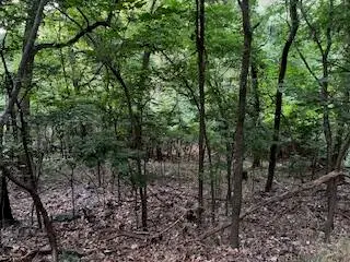 Lot 18 Kansas Drive, Monkey Island, OK 74331