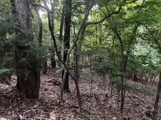 Lots 15&16 Vinita Circle, Monkey Island, OK 74331