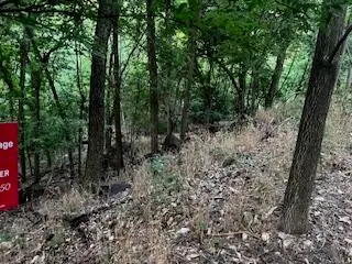 Lots 15&16 Vinita Circle, Monkey Island, OK 74331 - #3