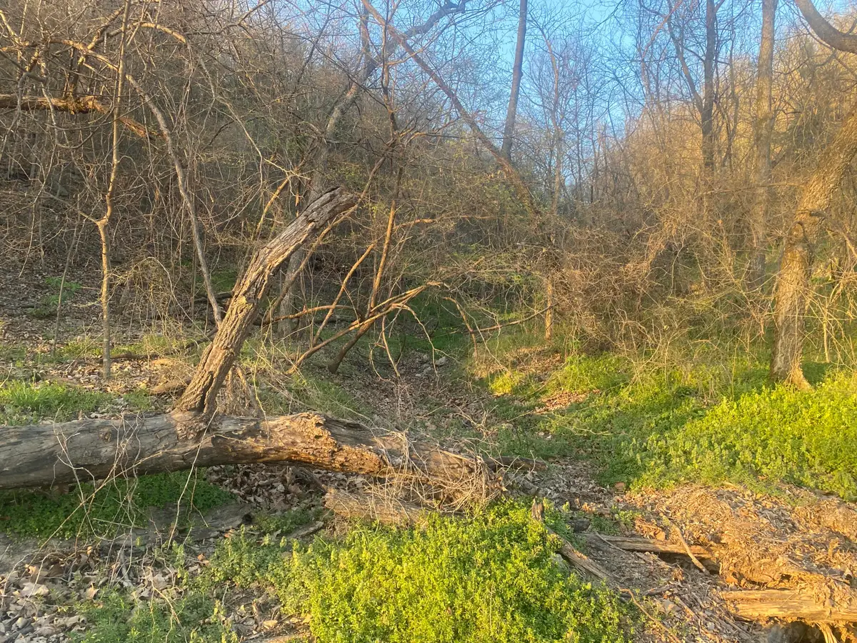 TBD County Road 628, Jay, OK 74346 - #1