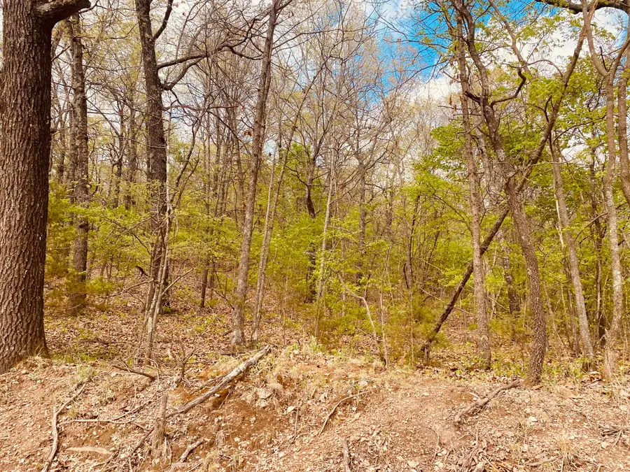 TBD County Road 628, Jay, OK 74346 - #3