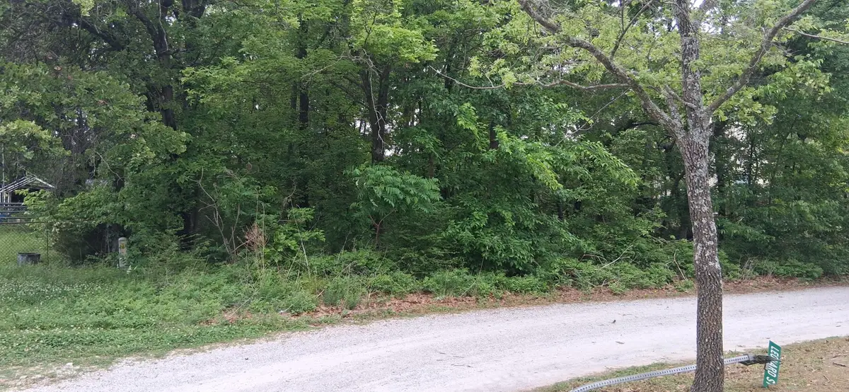 Fitch Street, Eucha, OK 74342 - #1