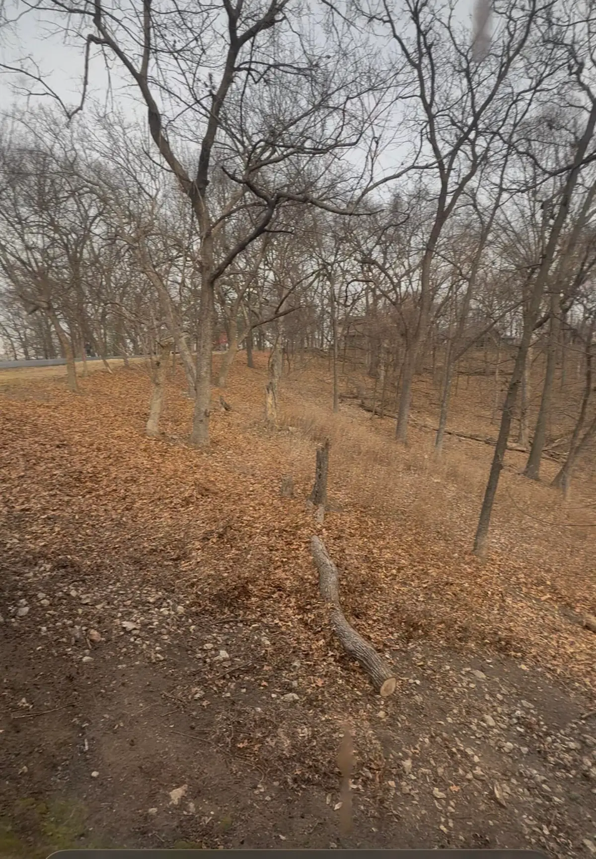 Tbd Osprey Road, Afton, OK 74331 - #1