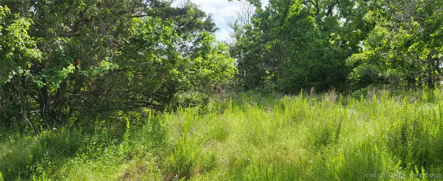 Oak, McAlester, OK 74501 - #2