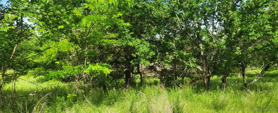 Oak, McAlester, OK 74501 - #3