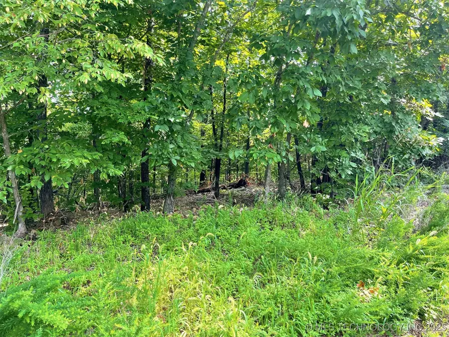 W Canyon Rock Road, Park Hill, OK 74427 - Image #2