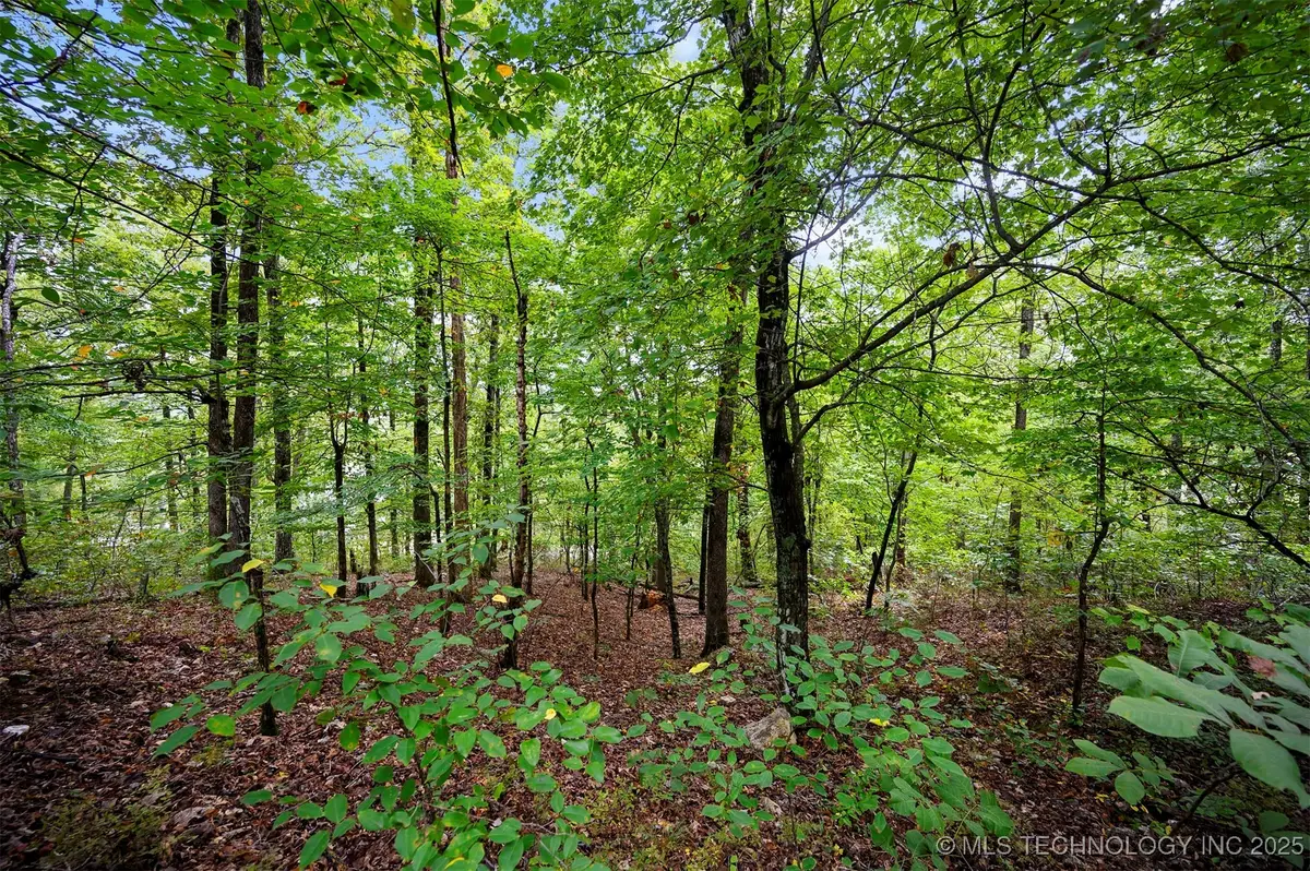 493 Moonshiner Springs Trail, Broken Bow, OK 74728 - Image #1