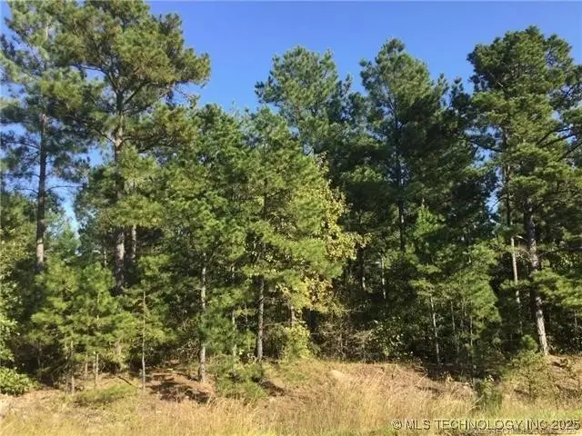 000 Merry Highway, Wright City, OK 74766 - #2