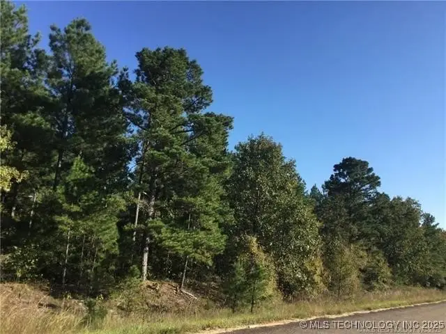 000 Merry Highway, Wright City, OK 74766 - #3