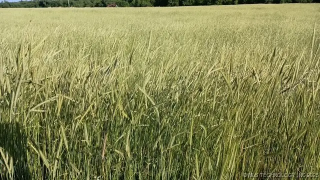 0 Macarthur Avenue, Blanchard, OK 73010 - Image #3