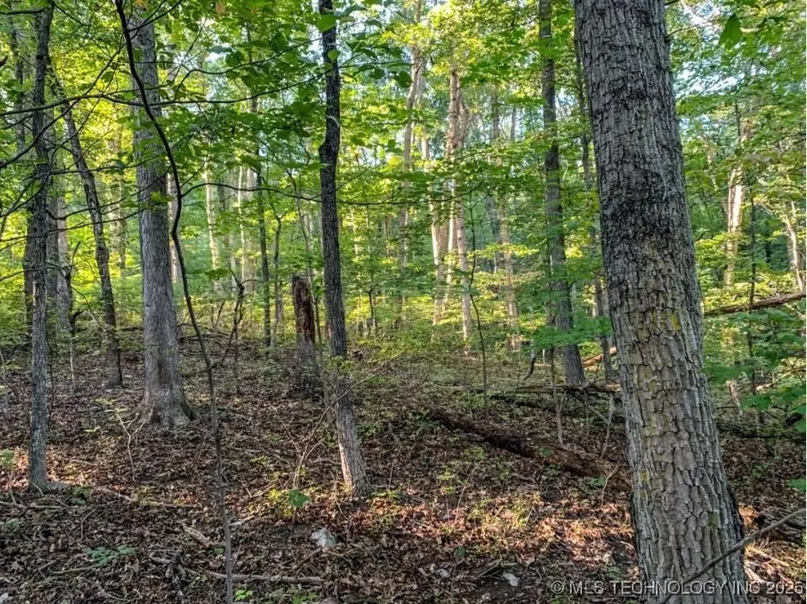 Ranch Road, Gore, OK 74435 - Image #2