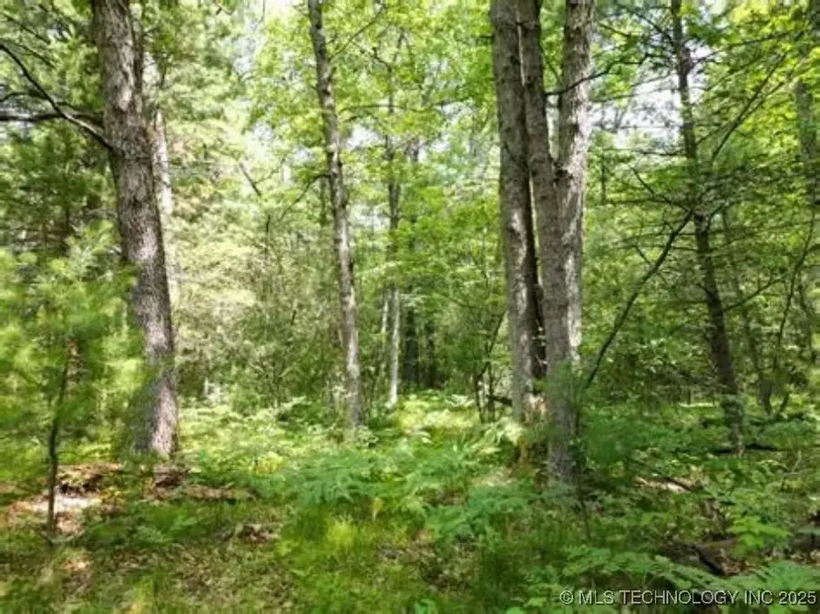 Ranch Road, Gore, OK 74435 - Image #3