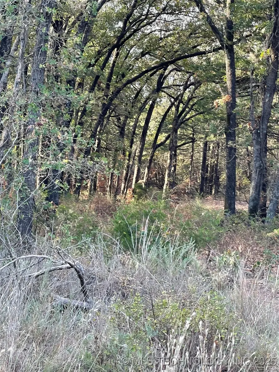 2611 S Mckenzie, Agra, OK 74824 - Image #3