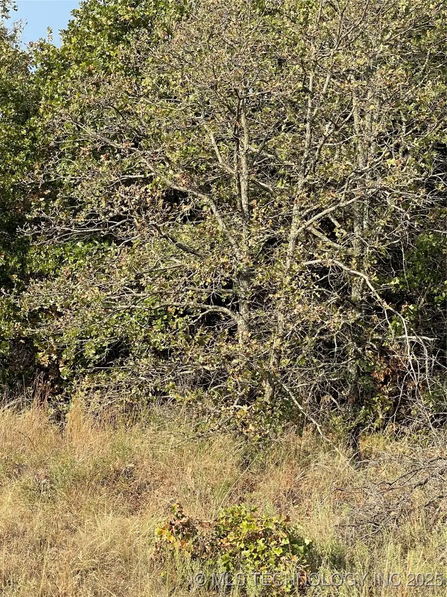 2623 S Mckenzie, Agra, OK 74824 - Image #3