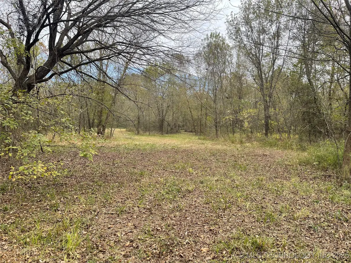 32782 S 4310 Road, Big Cabin, OK 74332 - Image #1