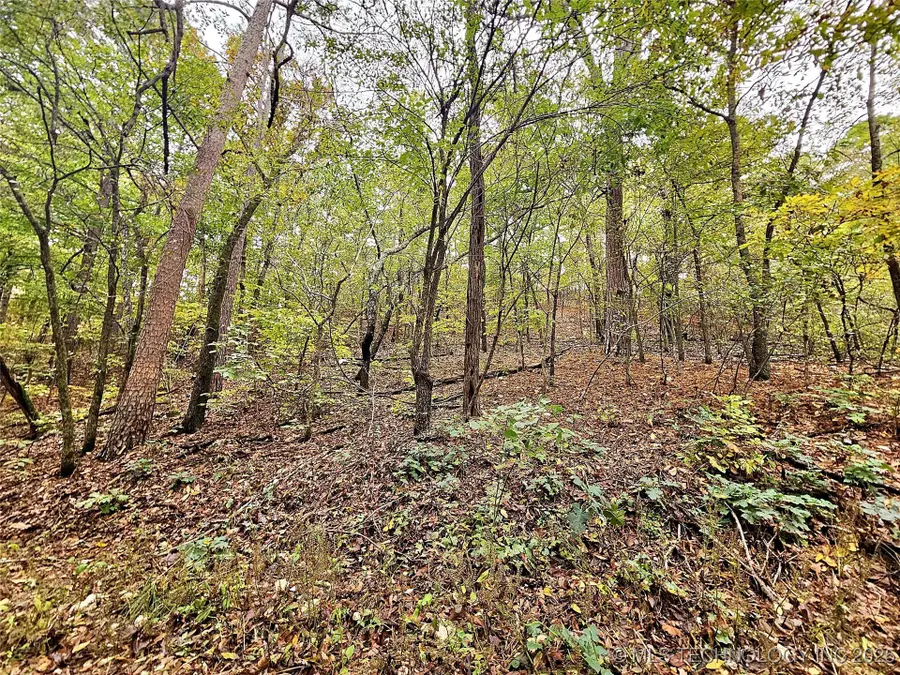 0000 S 4760 Road, Westville, OK 74965 - Image #3