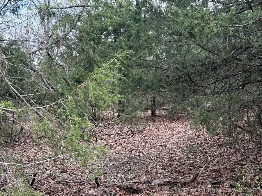 E Davis Street, Eufaula, OK 74432 - #3