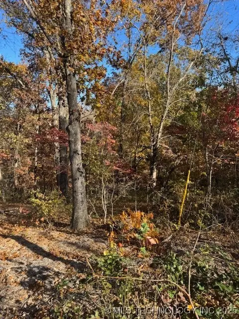 1308 Fawcett Lane, Bella Vista, OK 72715 - Image #2