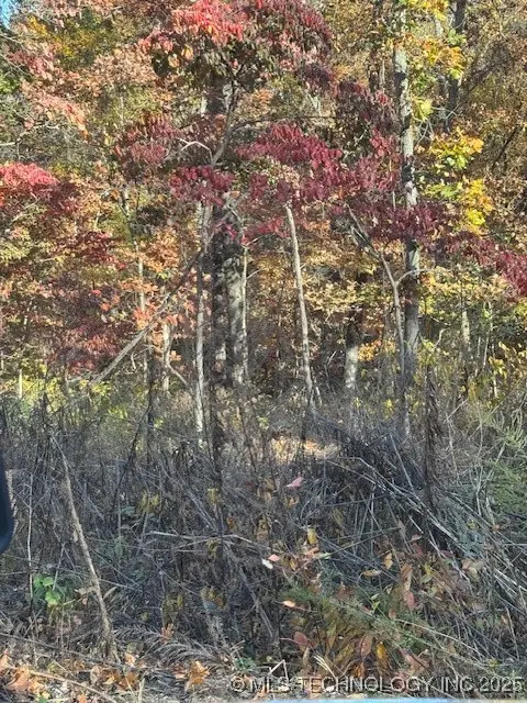 1308 Fawcett Lane, Bella Vista, OK 72715 - Image #3