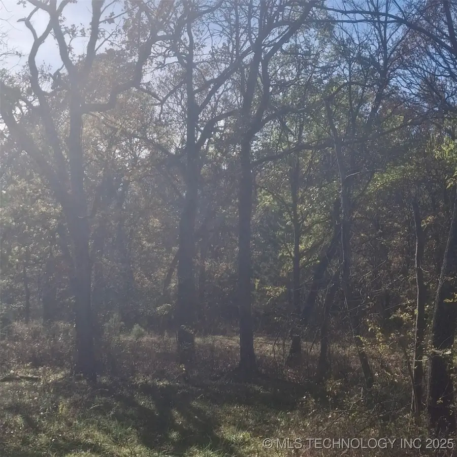 12834 N 68th West Avenue, Skiatook, OK 74070 - Image #2