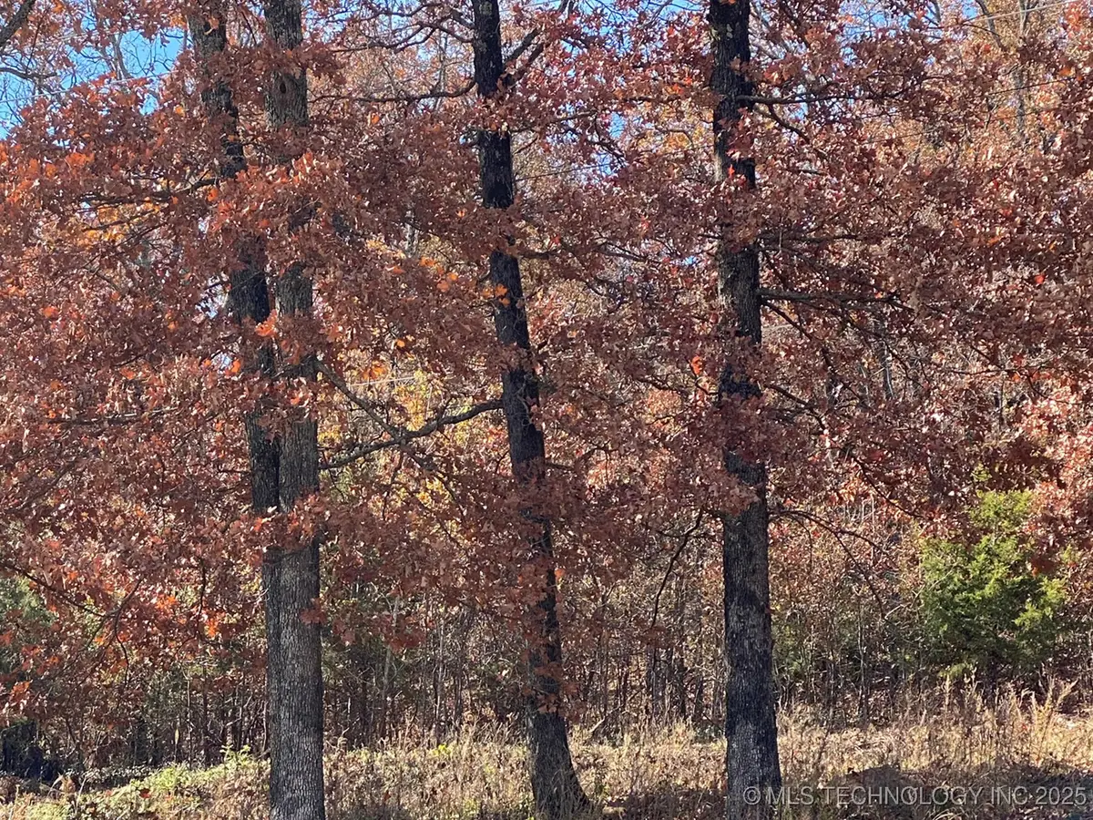 704 Woodlands Drive, Tahlequah, OK 74464 - #1