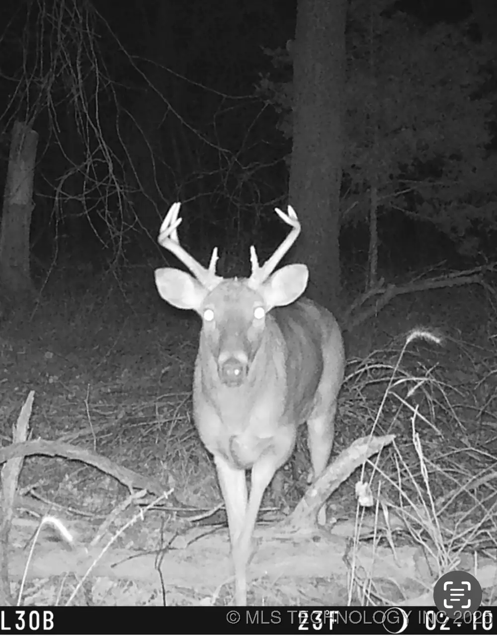 E 140th Road, Miami, OK 74354 - Image #1