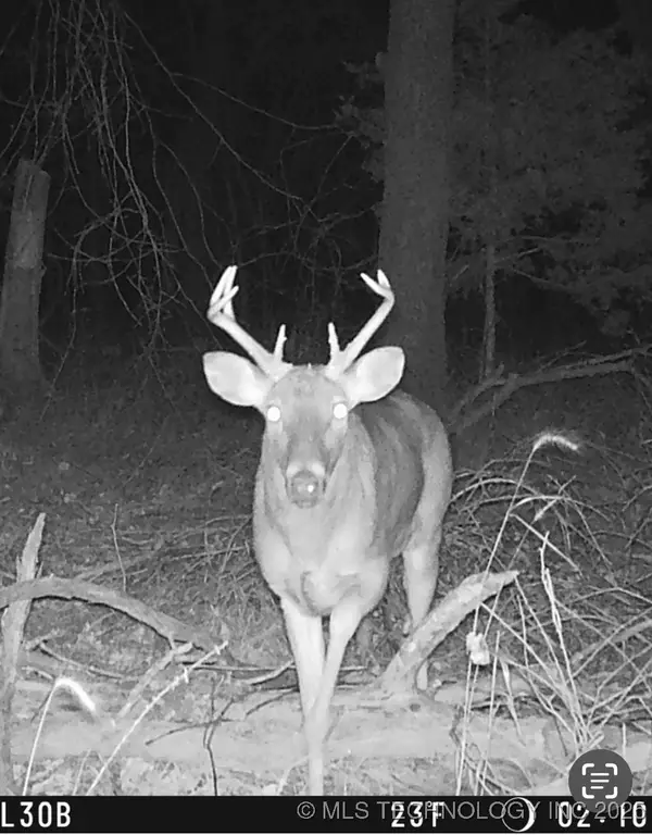 E 140th Road, Miami, OK 74354