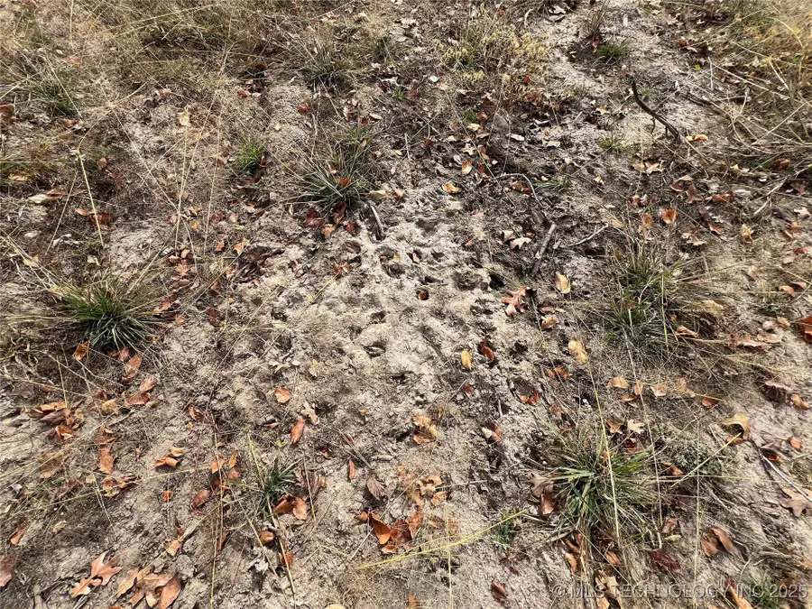 000000 S Berryhill Road, Jennings, OK 74038 - Image #3