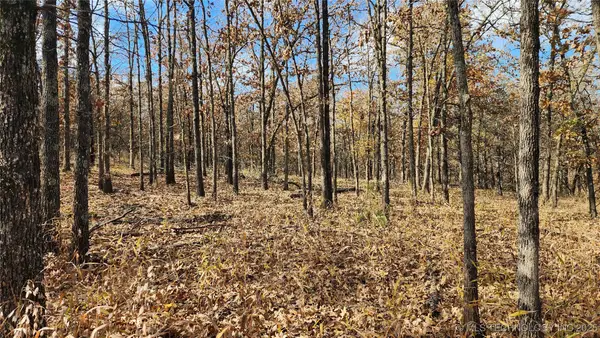 427640 E 290 Road, Chelsea, OK 74016