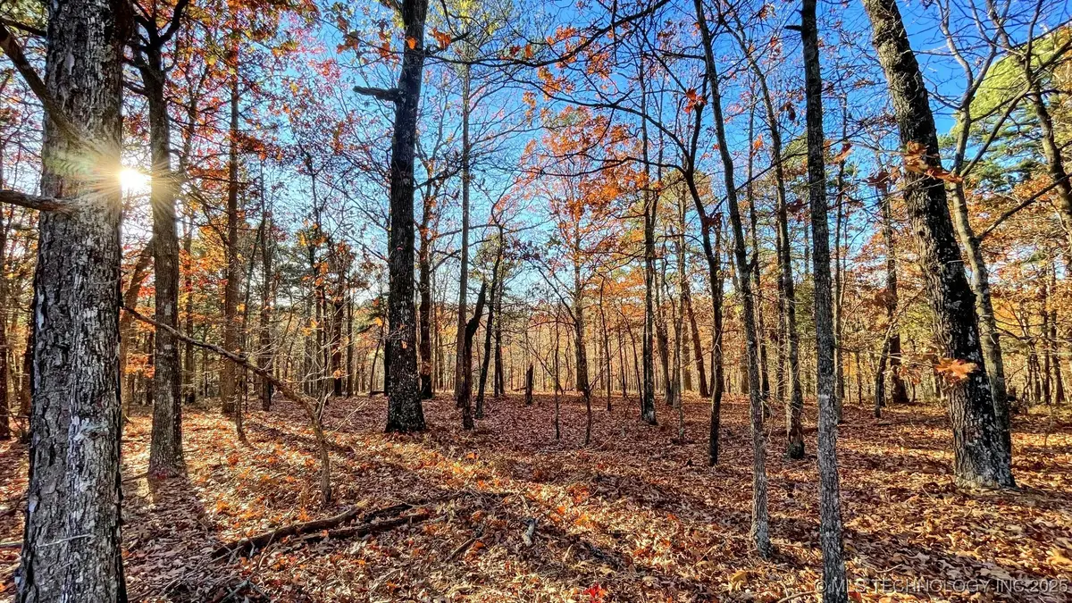 14 Big Bear Road, Kansas, OK 74347 - #1