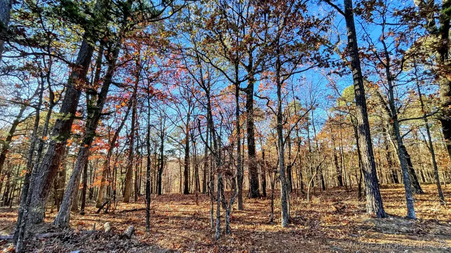 14 Big Bear Road, Kansas, OK 74347 - #2
