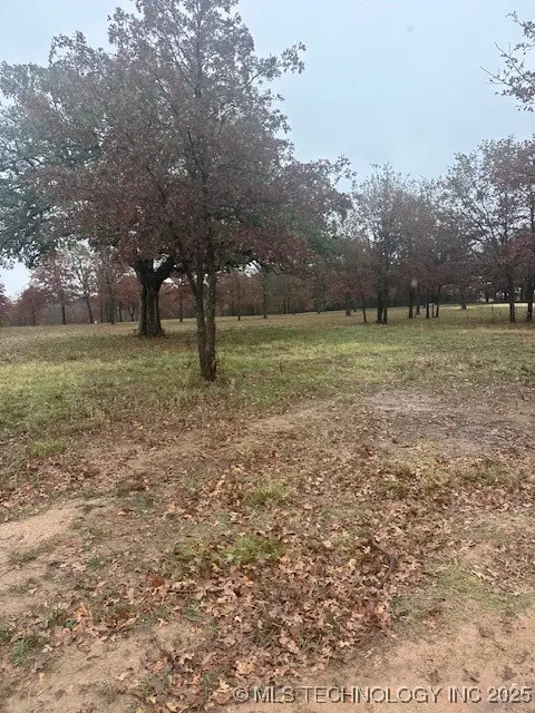 6915 Sims Road, Colbert, OK 74733 - Image #2