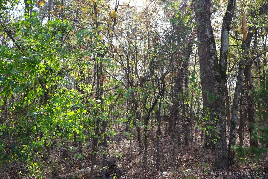 E 700 Road, Wagoner, OK 74467 - #2