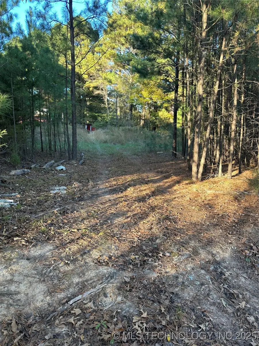 421041 E 1945 Lane, Antlers, OK 74523 - Image #3