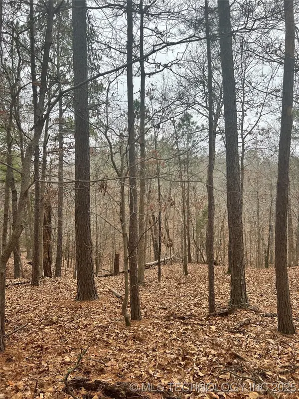 Deer Path Road, Kansas, OK 74347