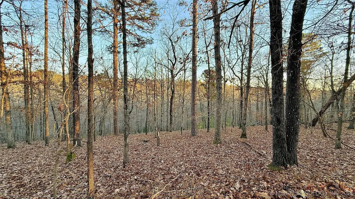 246 Red Fox Trail, Kansas, OK 74347 - Image #1