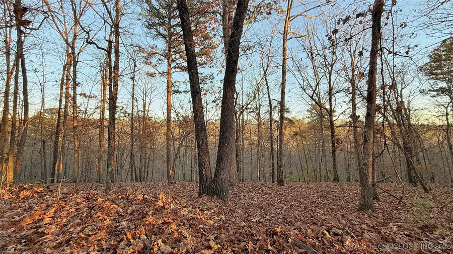 246 Red Fox Trail, Kansas, OK 74347 - Image #3