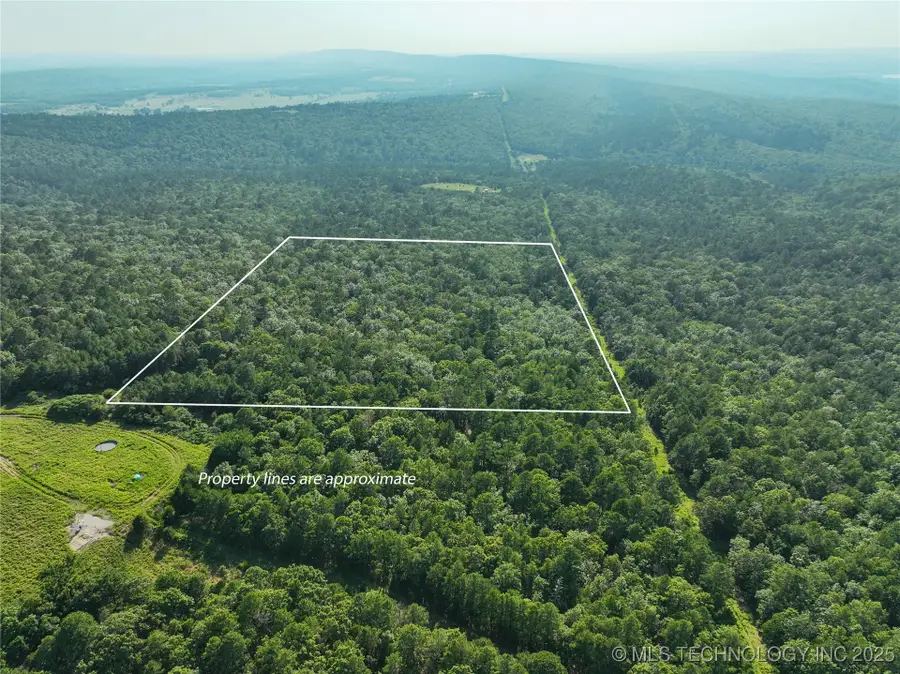 1 Hulsey Prairie, Panola, OK 74559 - Image #2