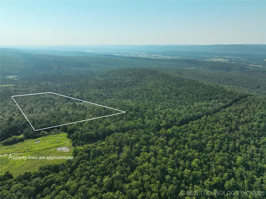 1 Hulsey Prairie, Panola, OK 74559 - Image #3