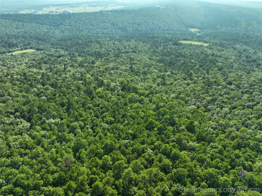 Address Withheld By Seller, Panola, OK 74559 - Image #2