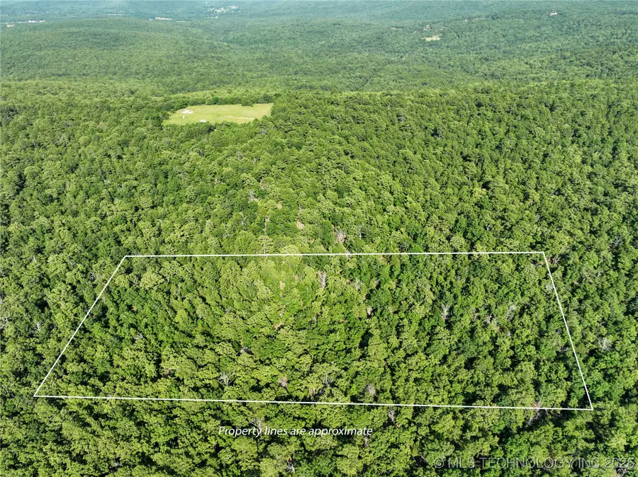 Address Withheld By Seller, Panola, OK 74559 - Image #3