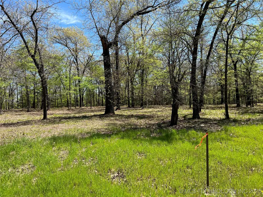 1427 W Easy Street Street, Tishomingo, OK 73460 - Image #2